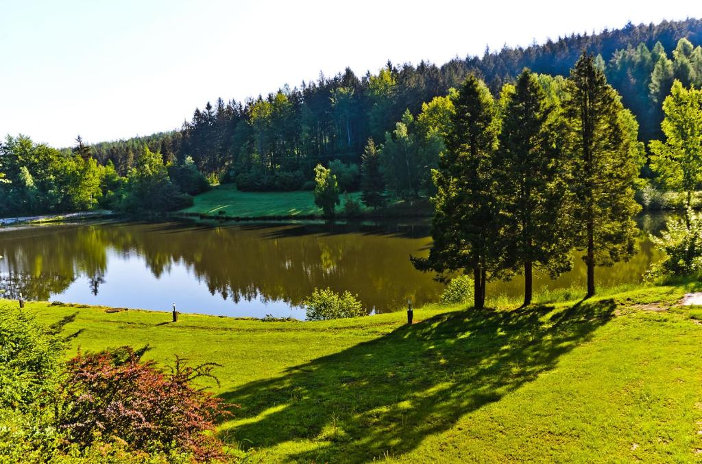 Przyroda w pobliżu tego hotelu
