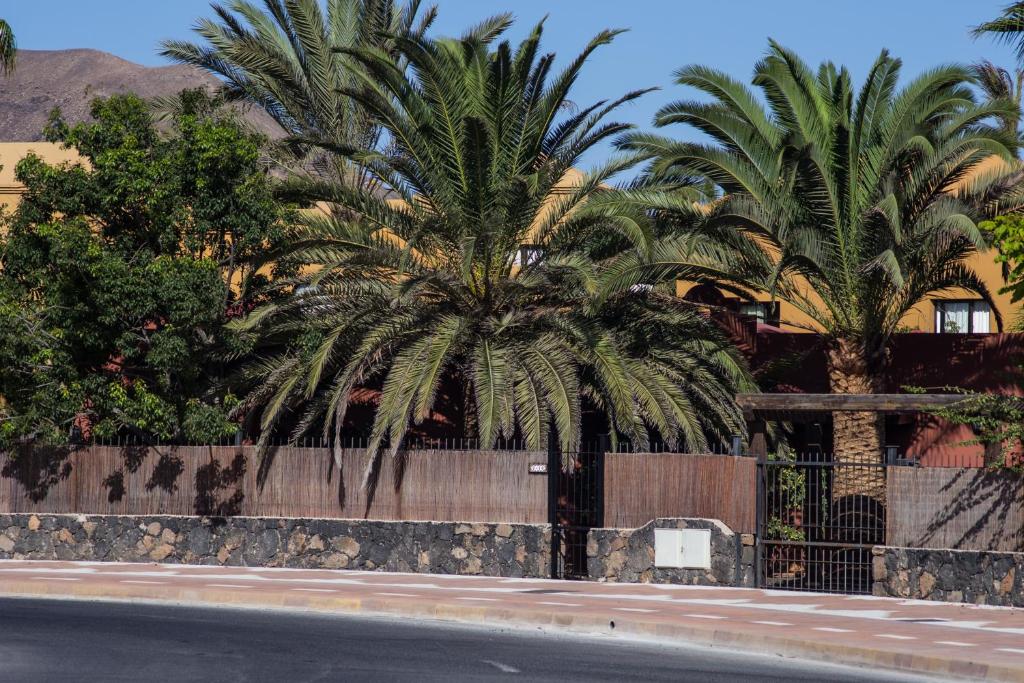 Fotografie z fotogalerie ubytování Casa Perla - villa with big garden and private pool v destinaci Corralejo