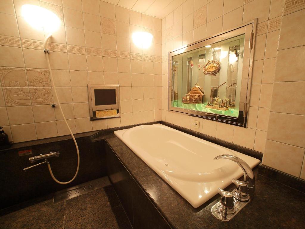 a bathroom with a sink and a mirror at Hotel Fine Garden Suzuka in Suzuka