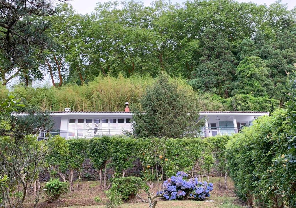 a building in the middle of a garden with flowers at Challet Miradouro do Vale in Furnas