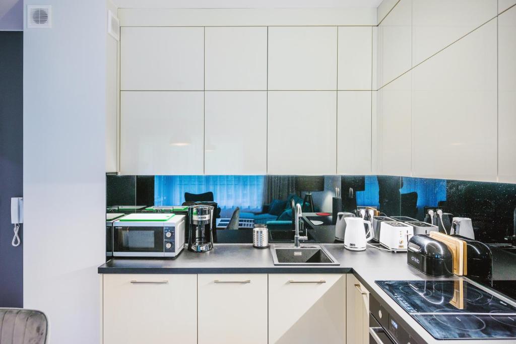 Kuchyňa alebo kuchynka v ubytovaní Apartamenty Sun & Snow Enklawa