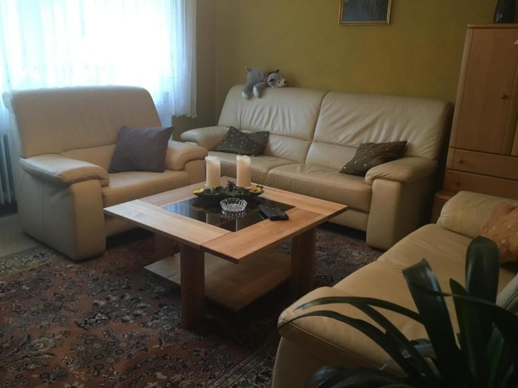 ein Wohnzimmer mit einem Sofa und einem Couchtisch in der Unterkunft Ferienhaus Störzel in Morbach