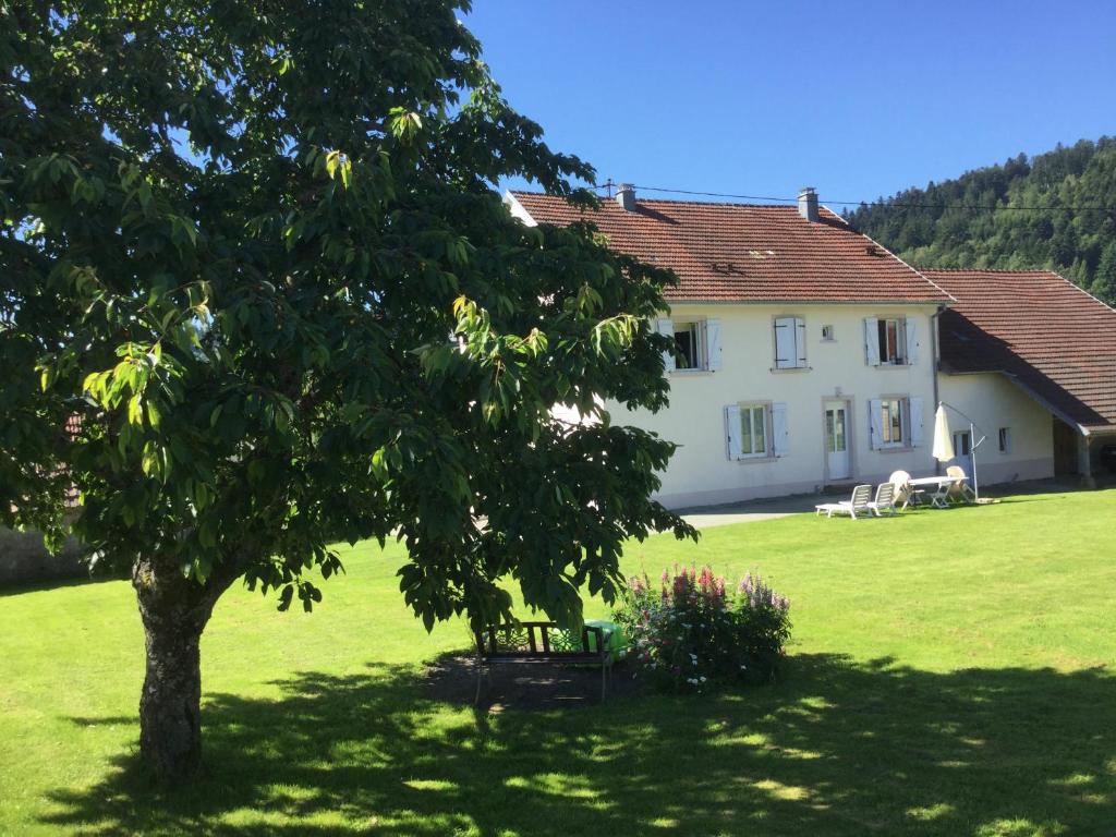 une maison blanche avec un arbre dans un champ dans l'établissement Gîte Léonline sur les hauteurs de Masevaux -au pied des Vosges, à Masevaux