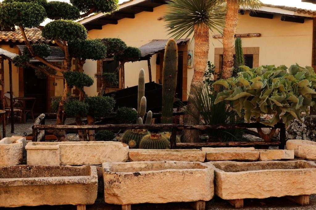 A garden outside Agriturismo Papyrus