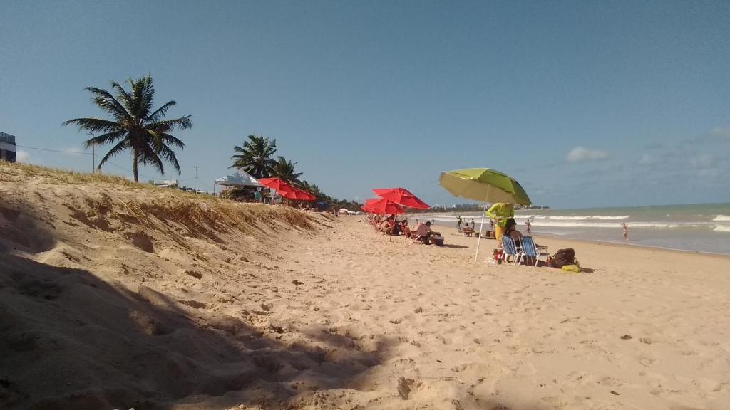  Casa tartaruga