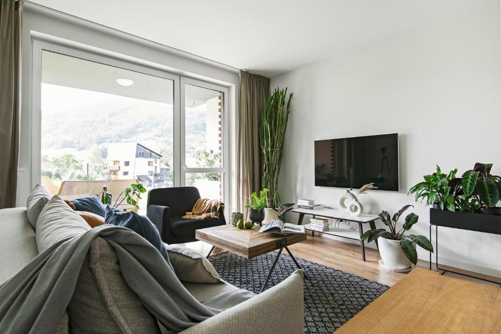 a living room with a couch and a tv at Free Time Apartments in Szczyrk