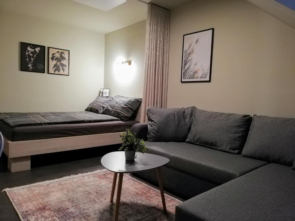 a living room with a couch and a bed at Fajn Apartment in Šempeter v Savinjski Dolini