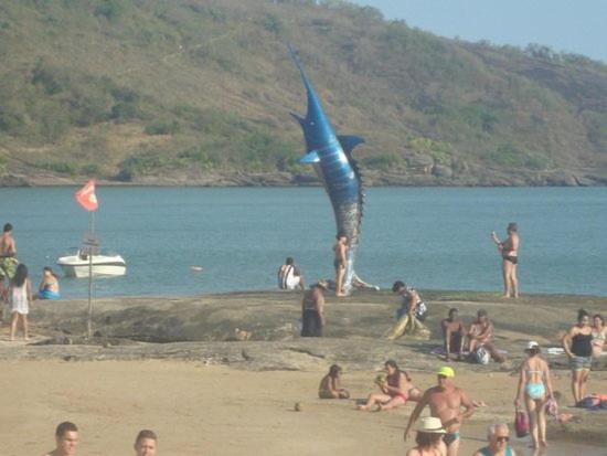 APARTAMENTO NOVO - PRAIA DO MORRO