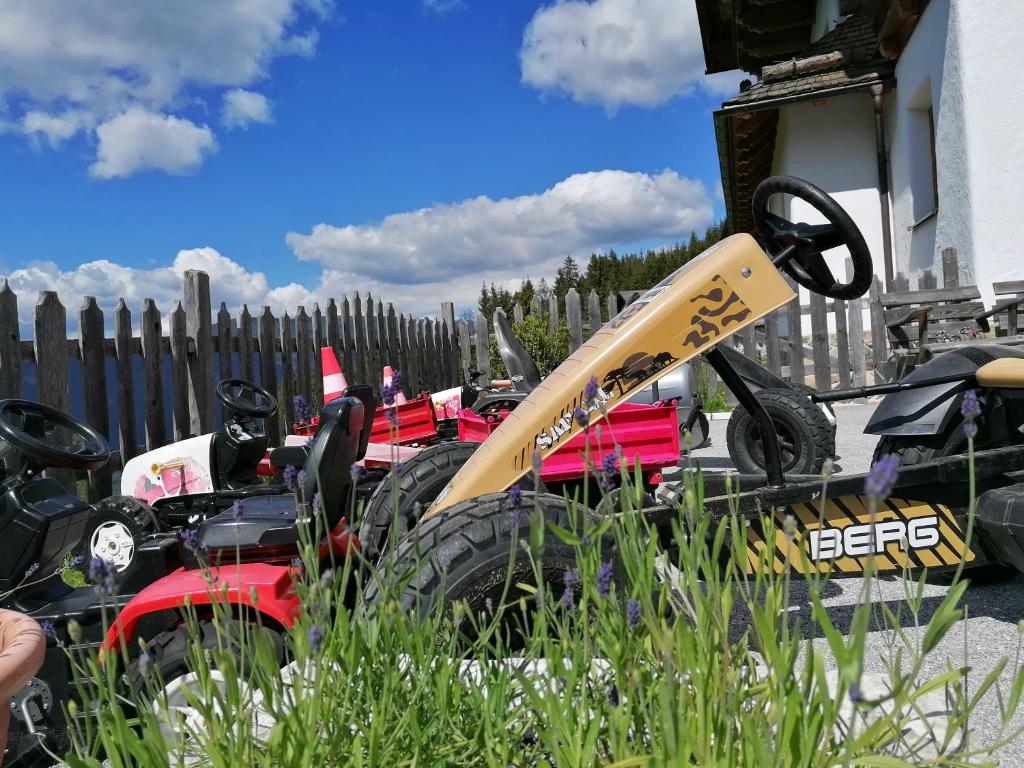 Zahrada ubytování Bifeis Hütte