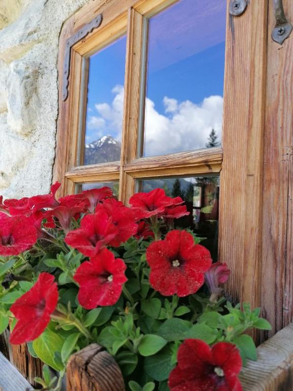 Zahrada ubytování Bifeis Hütte