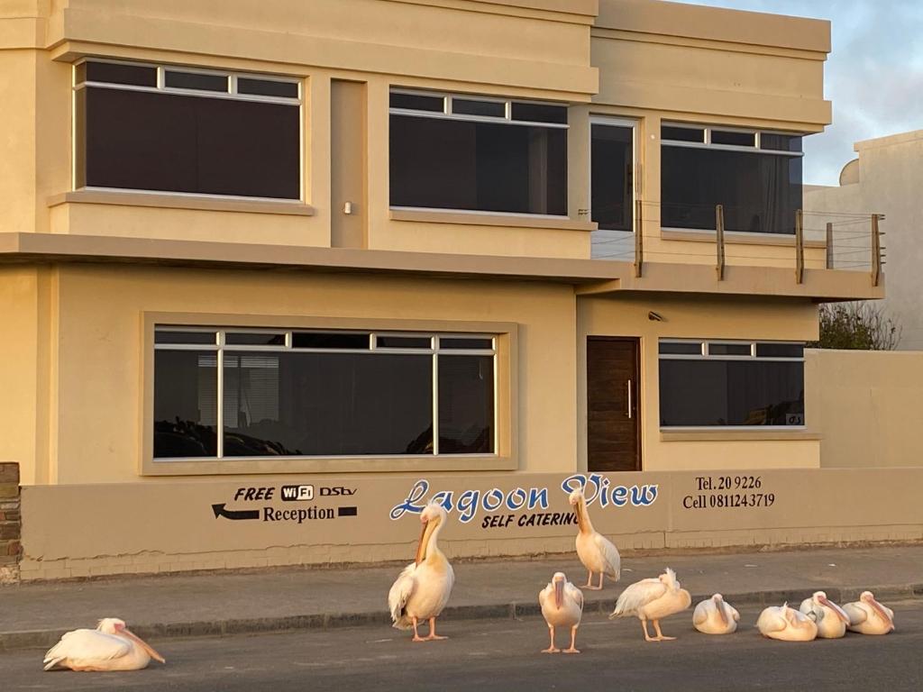 een groep flamingo’s die voor een gebouw staan bij Lagoon View Self Catering in Walvis Bay