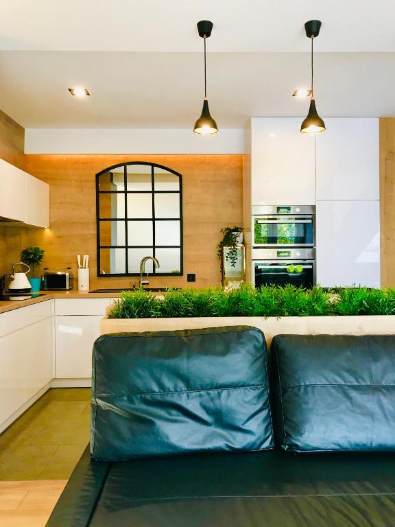 Televízia a/alebo spoločenská miestnosť v ubytovaní Apartament MoLoo II