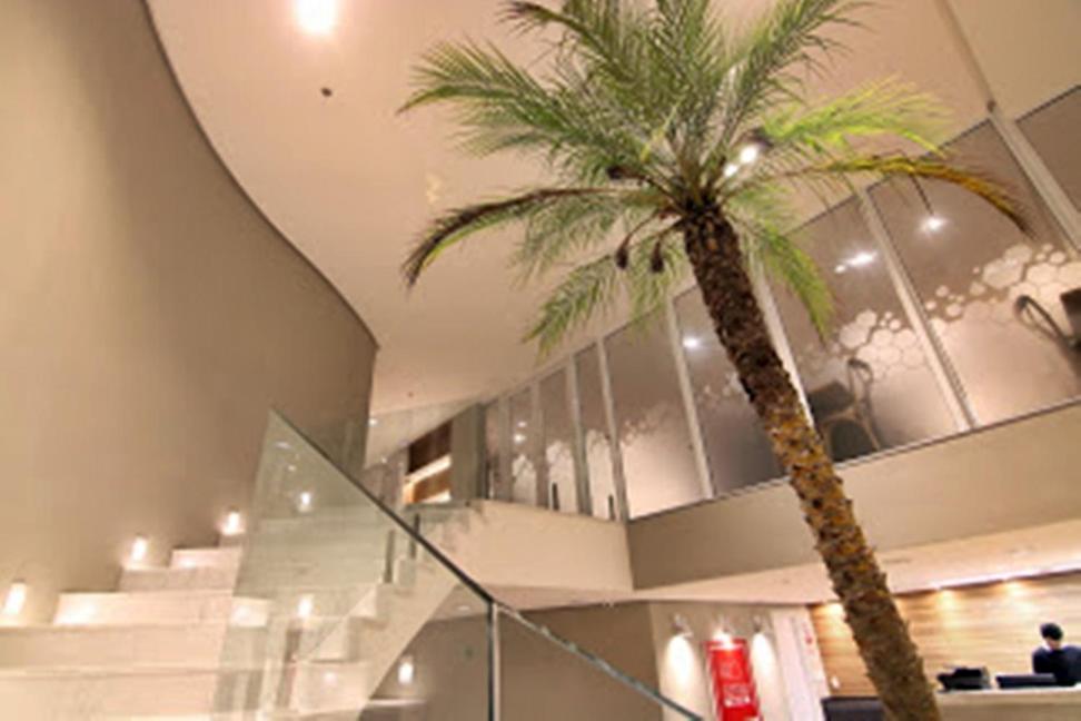 a palm tree in a building with stairs at Flat Edifício Royale 305 in Cabo Frio