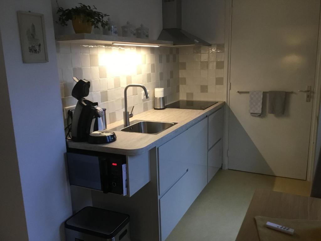 フリシンゲンにあるB & B Rosamieのシンクとカウンターのある小さなキッチン