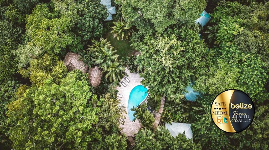 una vista aérea de un complejo con piscina y árboles en Copal Tree Lodge a Muy'Ono Resort en Toledo Settlement