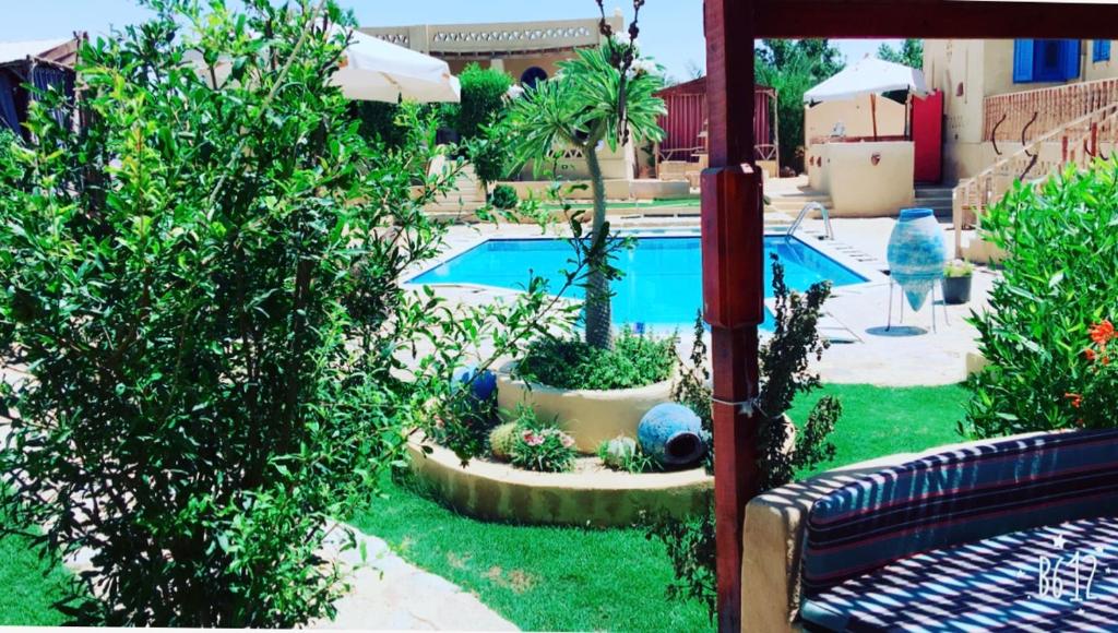 Vista sulla piscina di Marassi Tunis o su una piscina nei dintorni