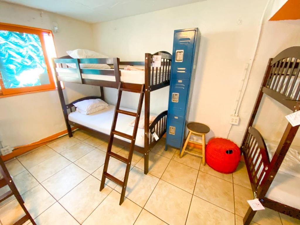 ITH Beach Bungalow Surf Hostel San Diego - Cama En Habitación Mixta De 10 Camas