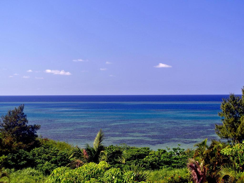 a view of the ocean from a hill at Beach Village Nosoko in Ishigaki Island