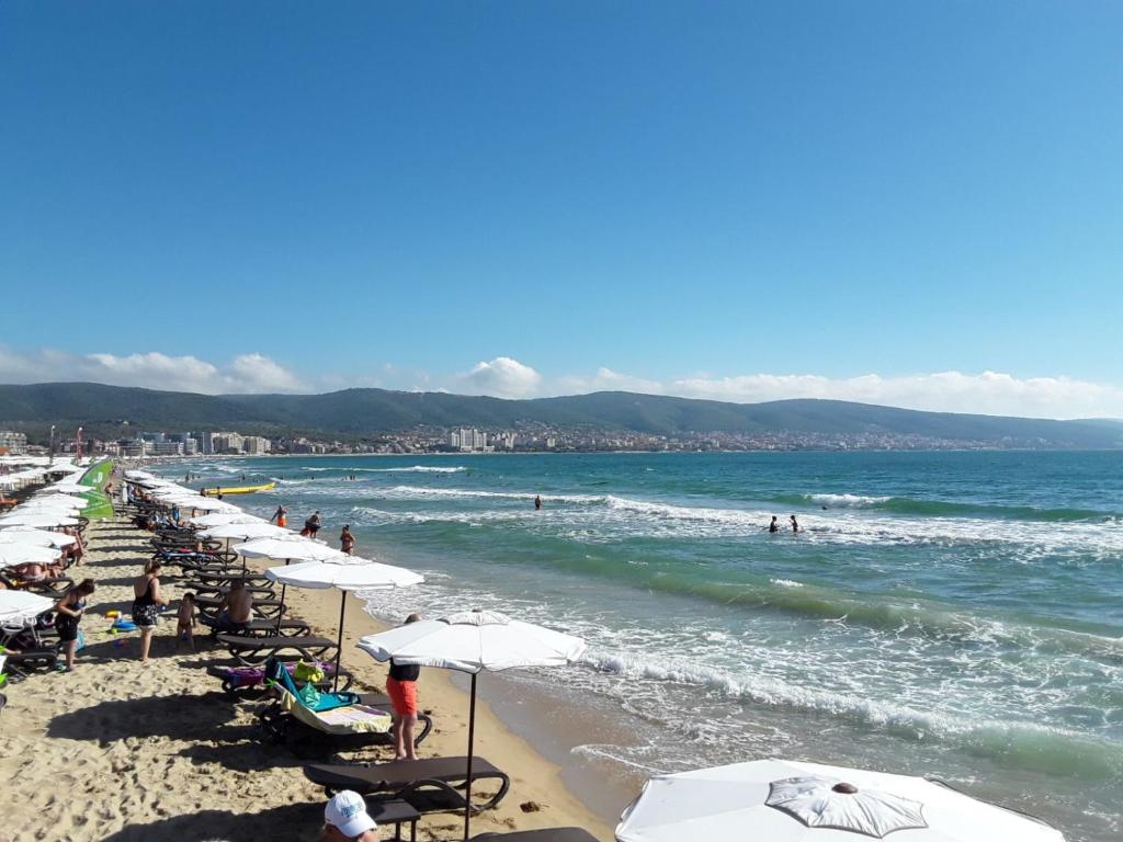 CHATEAU DEL MAR C31a Studio Sunny Beach - One-Bedroom Apartment