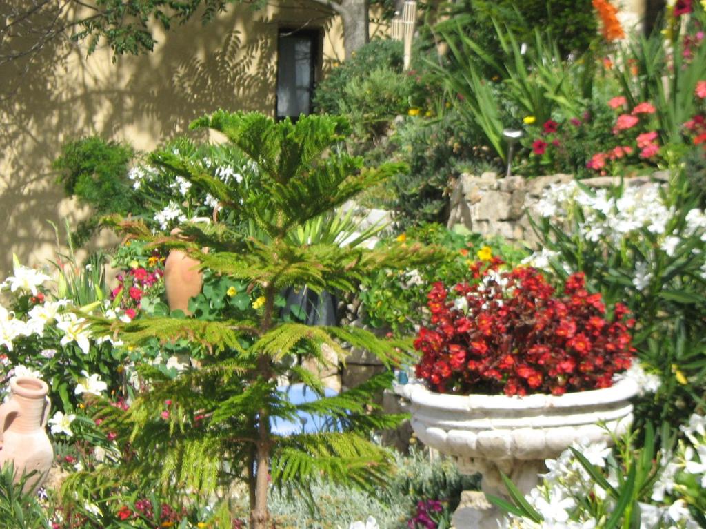 Zahrada ubytování Hôtel Aïtone