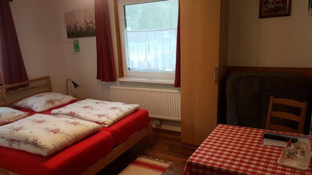 Pension Haus Rohrmoser - 4