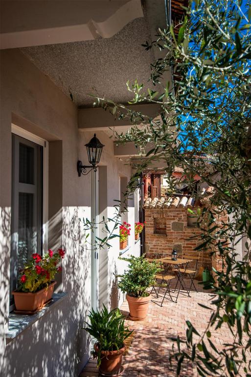 Zahrada ubytování Casa Langhe