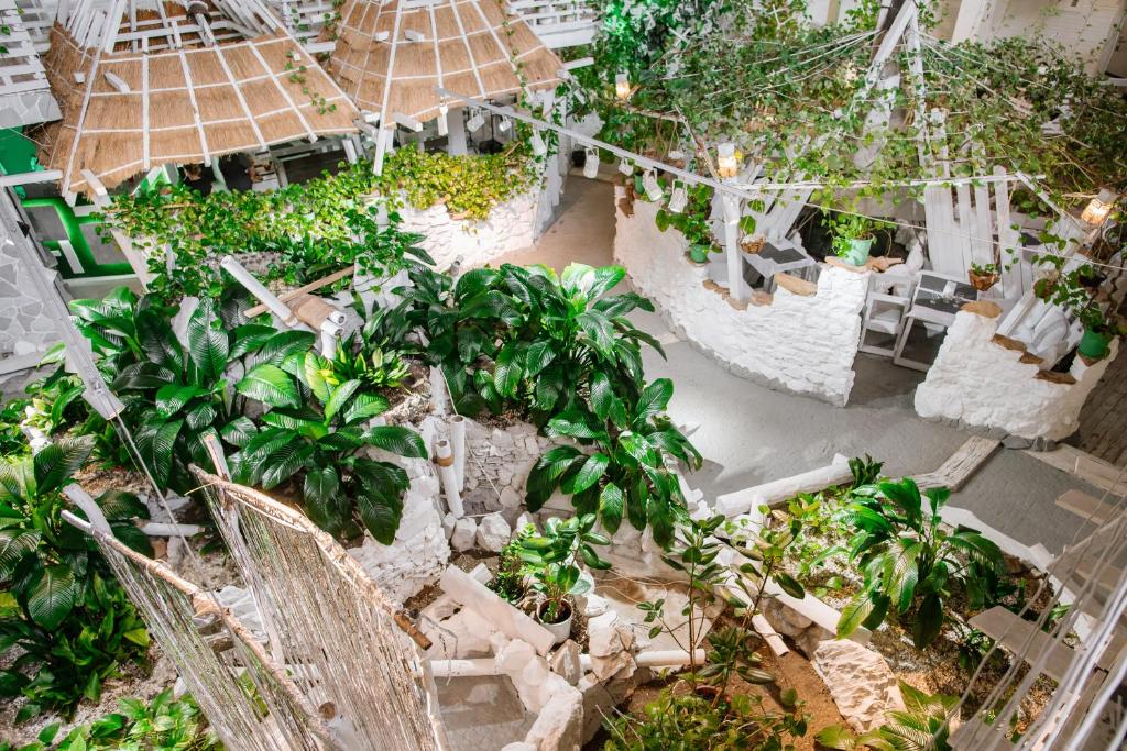 Zahrada ubytování Higina Spa Hotel