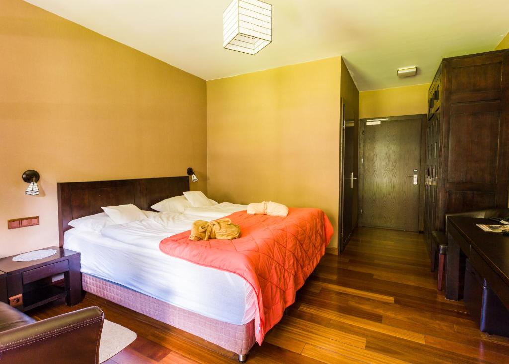 Boutique Hotel Sudetia - Medical & SPA - 13