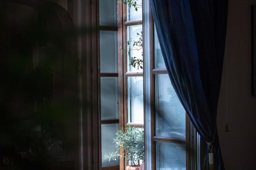 Fotografie z fotogalerie ubytování Accademia 39 v Sorrentu