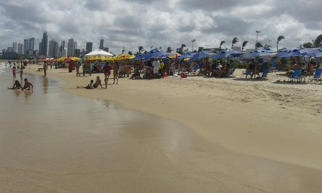  Ouro