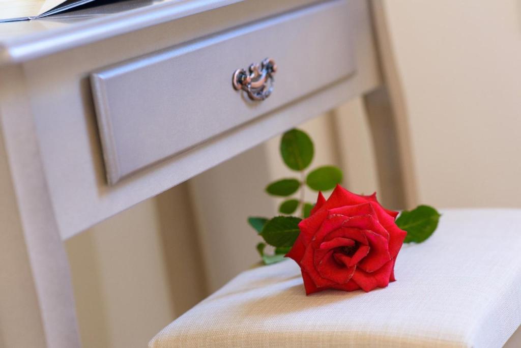 a red rose sitting on top of a drawer at Luxury Corfu Villa Villa Jasmine Private Pool 4 BDR Dassia in Dafnila