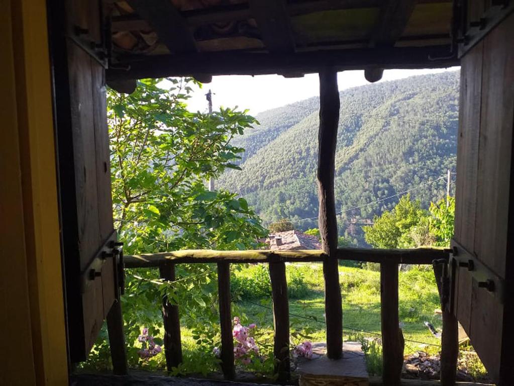 Casa dos Livros - Maison De Deux Chambres
