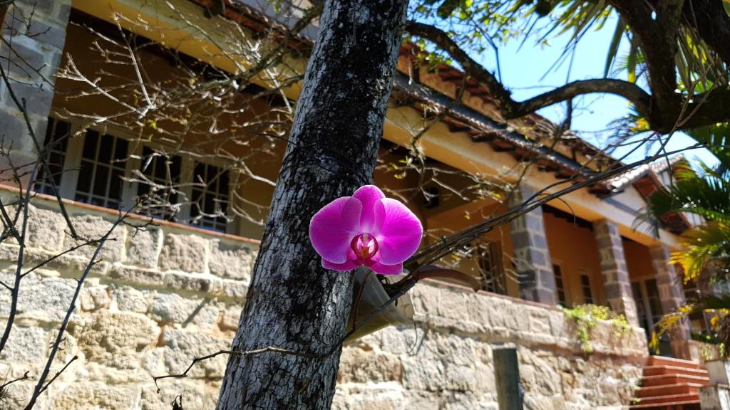  Suites Flor- Hilda