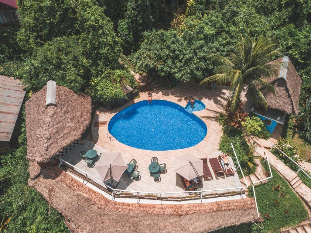 an overhead view of a swimming pool with chairs and a palm tree at Wasai Puerto Maldonado Eco Lodge in Puerto Maldonado