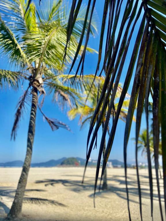  Unlimited Ocean Front