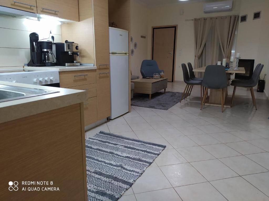 Kuchyň nebo kuchyňský kout v ubytování Agis Residence