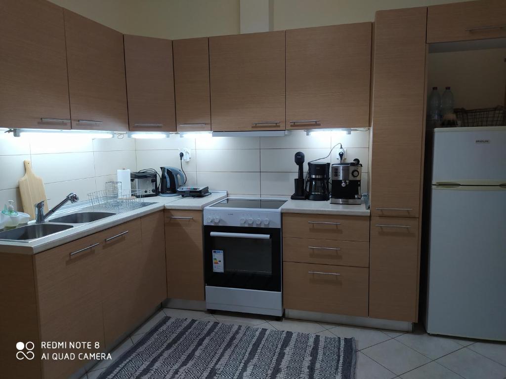 Kuchyň nebo kuchyňský kout v ubytování Agis Residence