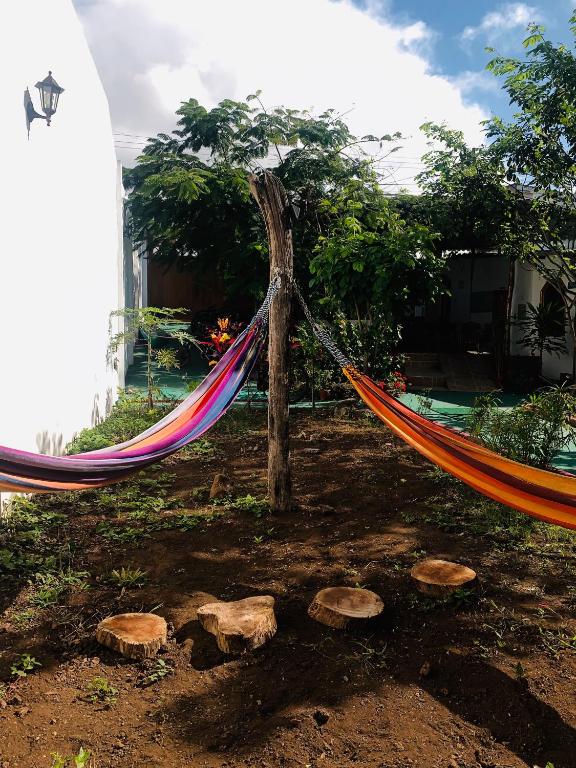 Zahrada ubytování Hostal White House Galapagos