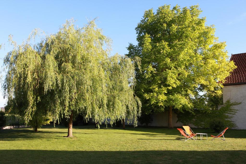 Zahrada ubytování Hotel l'Orée Des Vignes