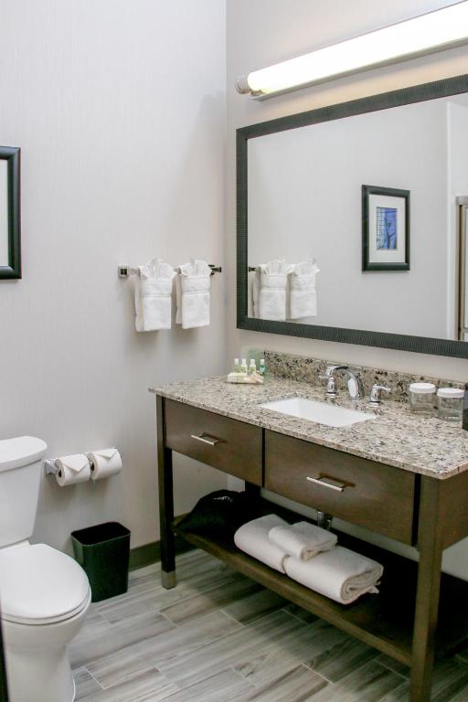 Holiday Inn & Suites Denver Tech Center-Centennial by IHG - 标准间