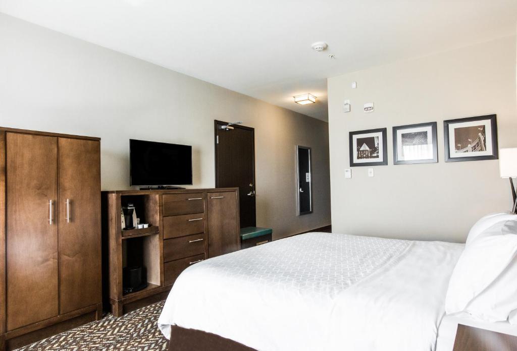 a bedroom with a bed and a flat screen tv at Holiday Inn Express & Suites Spruce Grove - Stony Plain by IHG in Spruce Grove