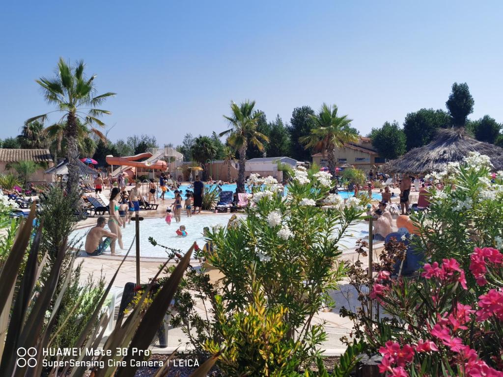 een groep mensen die zwemmen in een zwembad in een resort bij Sables du midi 2 in Sérignan