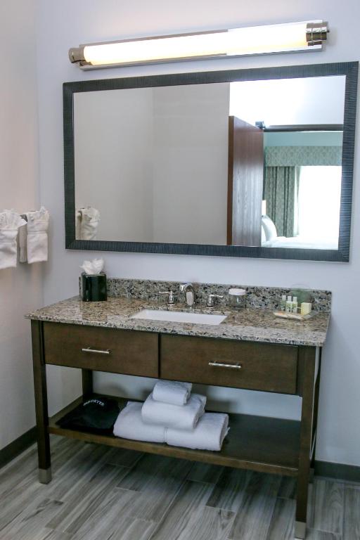 Holiday Inn & Suites Denver Tech Center-Centennial by IHG - 特大号床套房 - 带沙发床