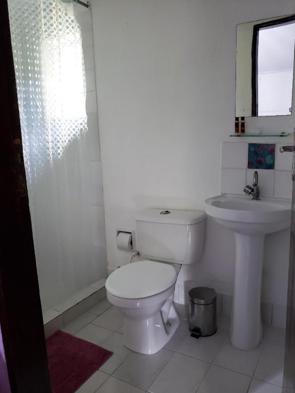  Pousada Sitio das Flores