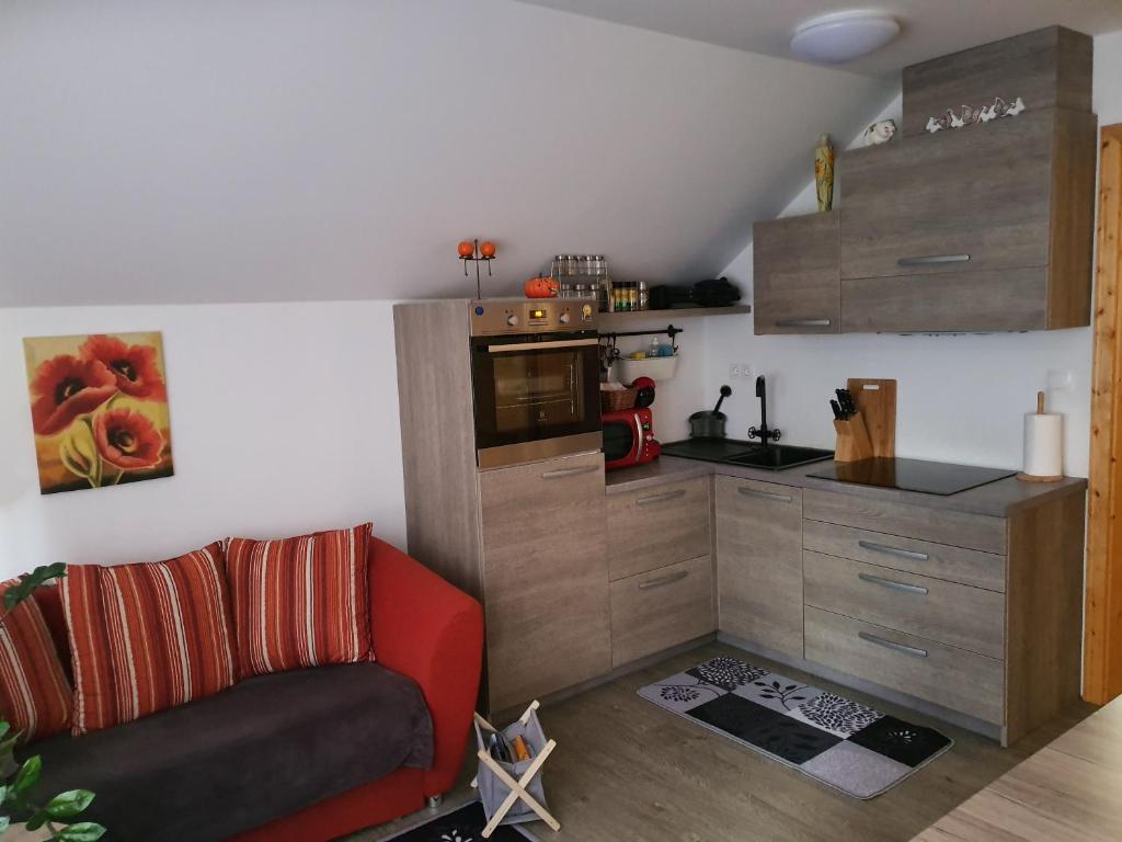 Kuchyň nebo kuchyňský kout v ubytování Apartmaji Daniel