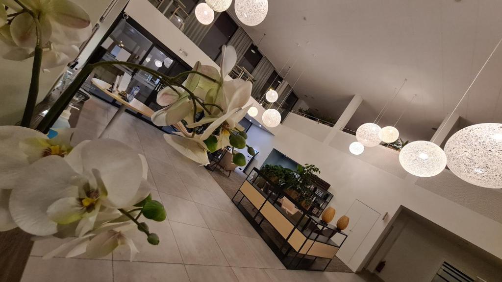 Fotografie z fotogalerie ubytování Hotel Drie Eiken v destinaci Edegem