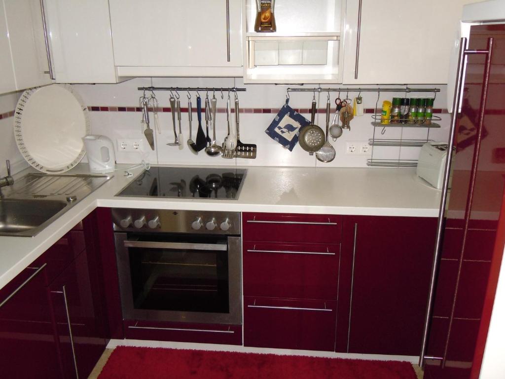 Kuchyňa alebo kuchynka v ubytovaní Seegarten Appartements