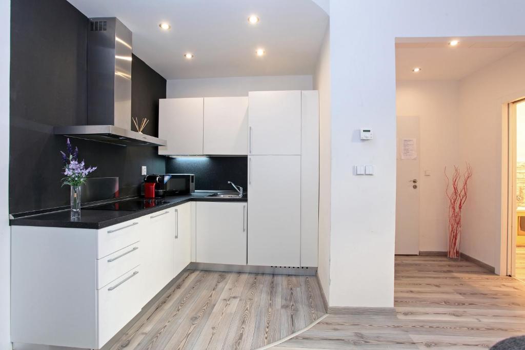 Kuchyň nebo kuchyňský kout v ubytování Apartment House - The Modern Flat
