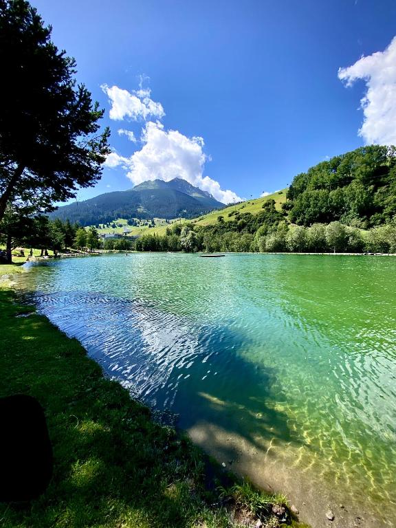 a view of a lake with trees and a mountain at Chalet Wulli in der Nähe der Skianlagen Savognin in Savognin