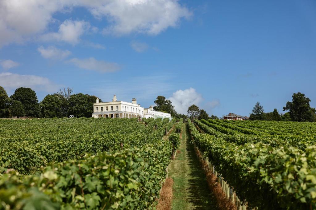 Zahrada ubytování Lympstone Manor Hotel Restaurant & Vineyard - Relais & Chateaux
